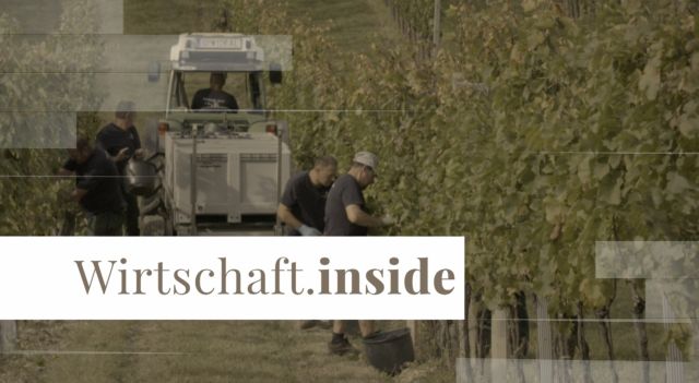 Wirtschaft.inside © Popup Media 2020