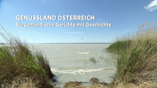 GLOE - Gerichte © © popupmedia 2020