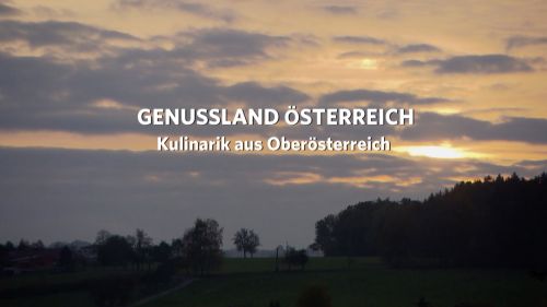 GLOE - Oberösterreich © © popupmedia 2020